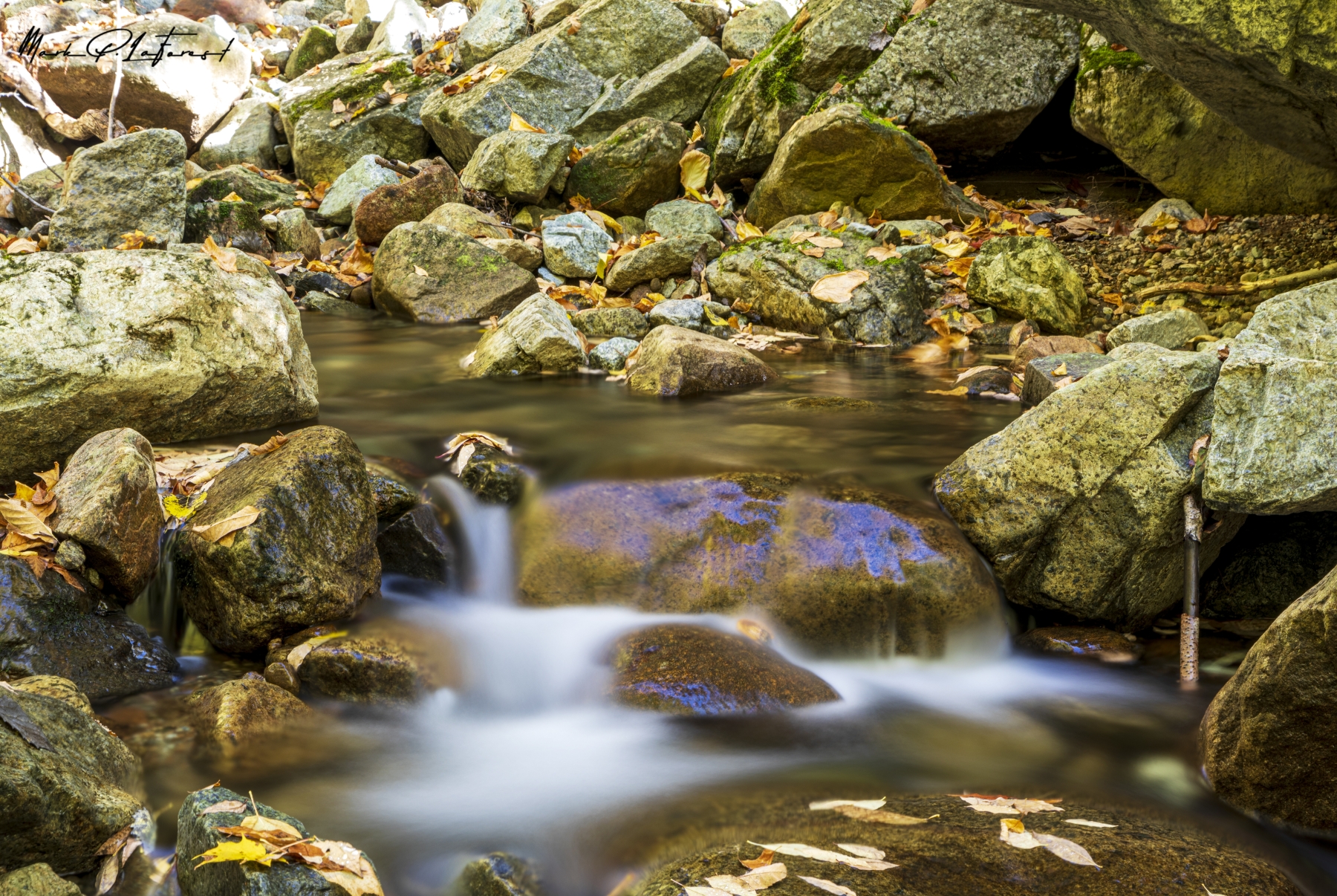 /gallery/north_america/USA/NY/st huberts/Roaring Brook St Huberts NY 2021-001_med.jpg
